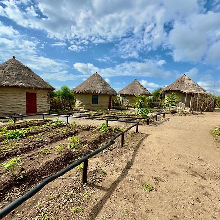 Maasai Eco Boma & Lodge - Experience Maasai Culture Makuyuni Esterno foto