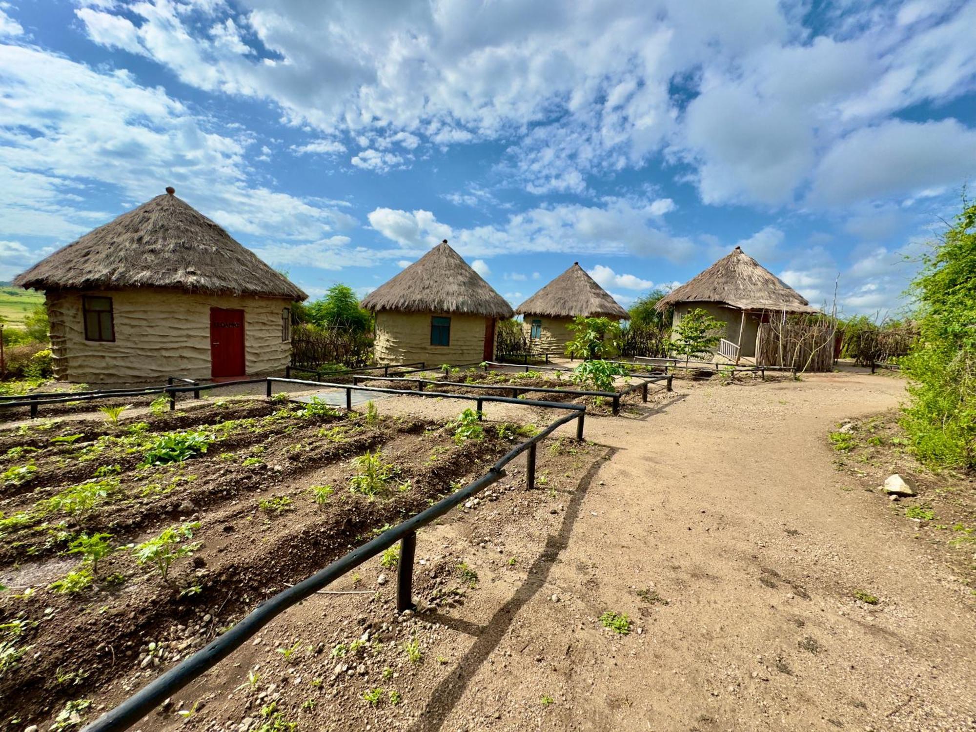 Maasai Eco Boma & Lodge - Experience Maasai Culture Makuyuni Esterno foto