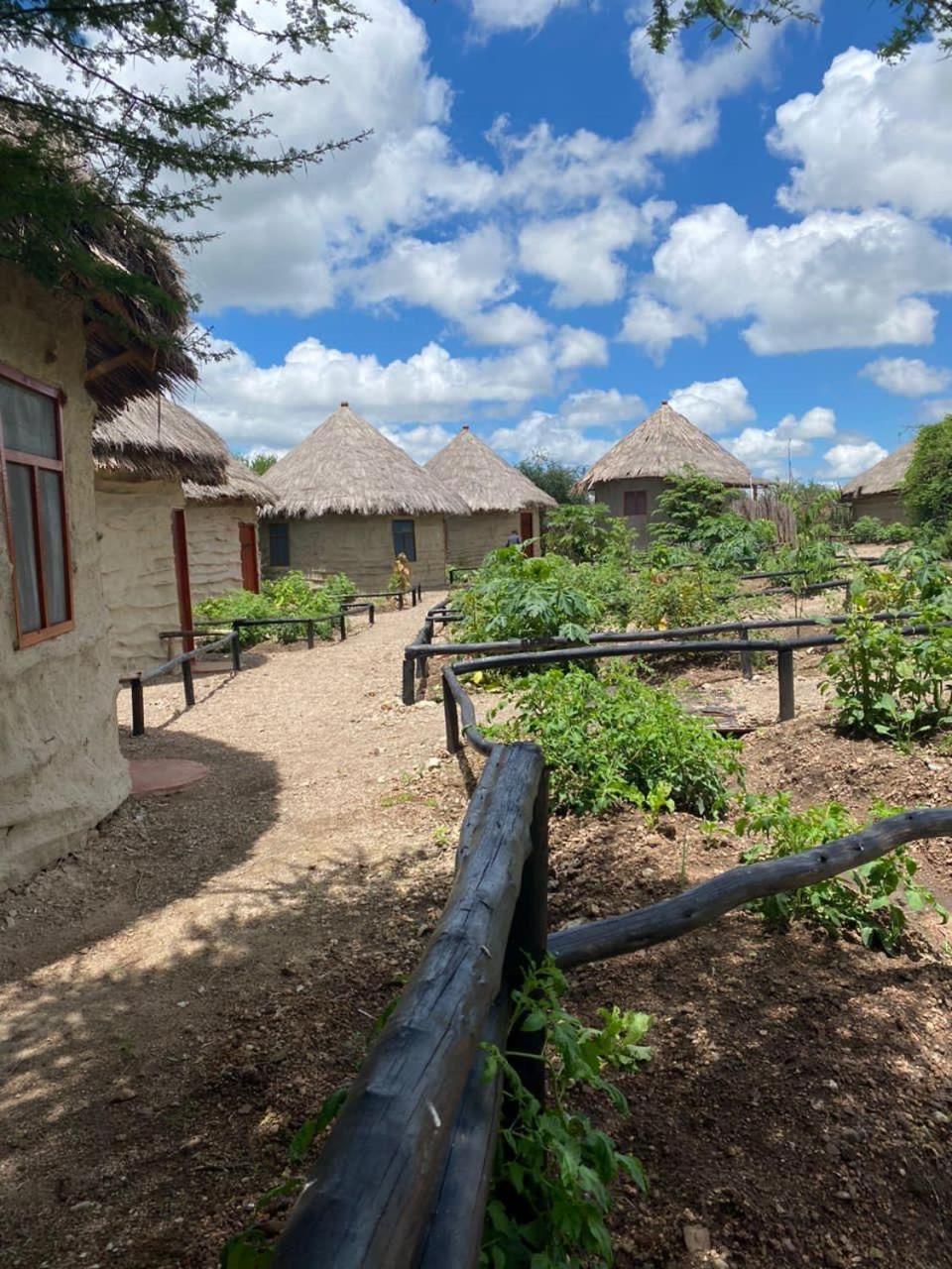 Maasai Eco Boma & Lodge - Experience Maasai Culture Makuyuni Esterno foto
