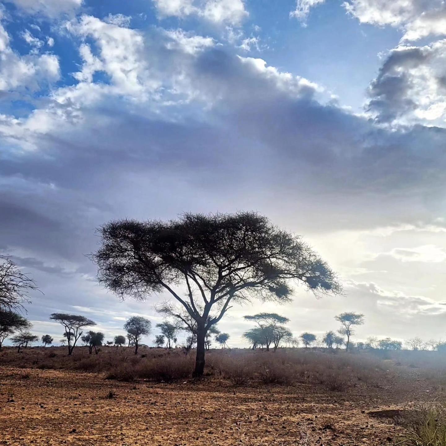 Maasai Eco Boma & Lodge - Experience Maasai Culture Makuyuni Esterno foto
